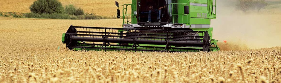 Рослинництво